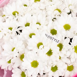 hrizantema romashka buket 6